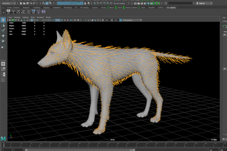 Creating a coyote hair with particle systems